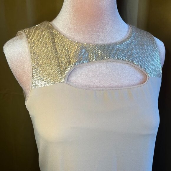 BCBG Maxazria Bianca Sequins Bare Pink Flowy Tunic Top Size XS - Picture 2 of 10